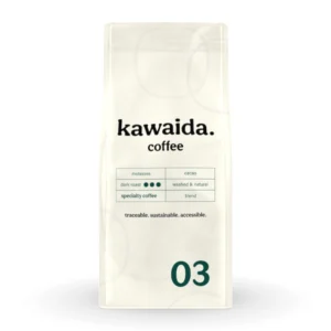 <span style="color: #045046;">kawaida. 03</span>